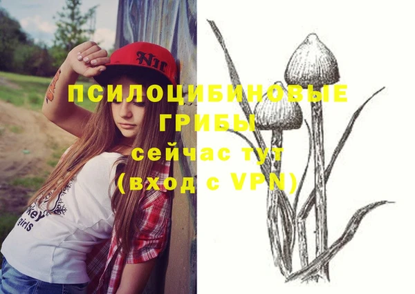 твердый Струнино