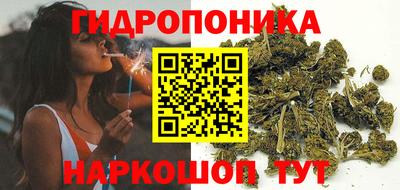 стаф Кимры