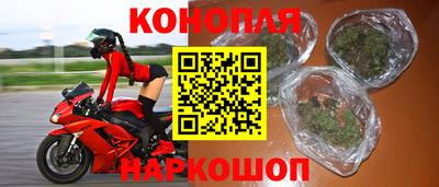 прущие грибы Конаково