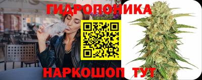 трава Кинель