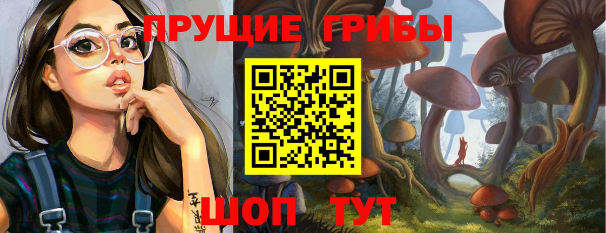 Псилоцибиновые грибы Psilocybe Кувандык