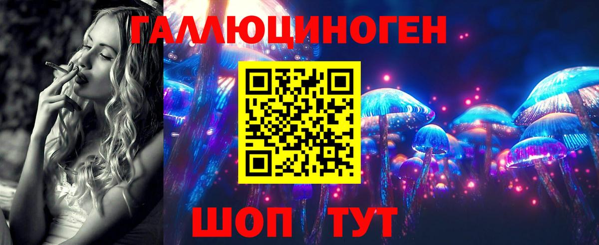 дарнет шоп  Вход с VPN  Кувандык  Псилоцибиновые грибы MAGIC MUSHROOMS  Галлюциногенные грибы Cubensis 